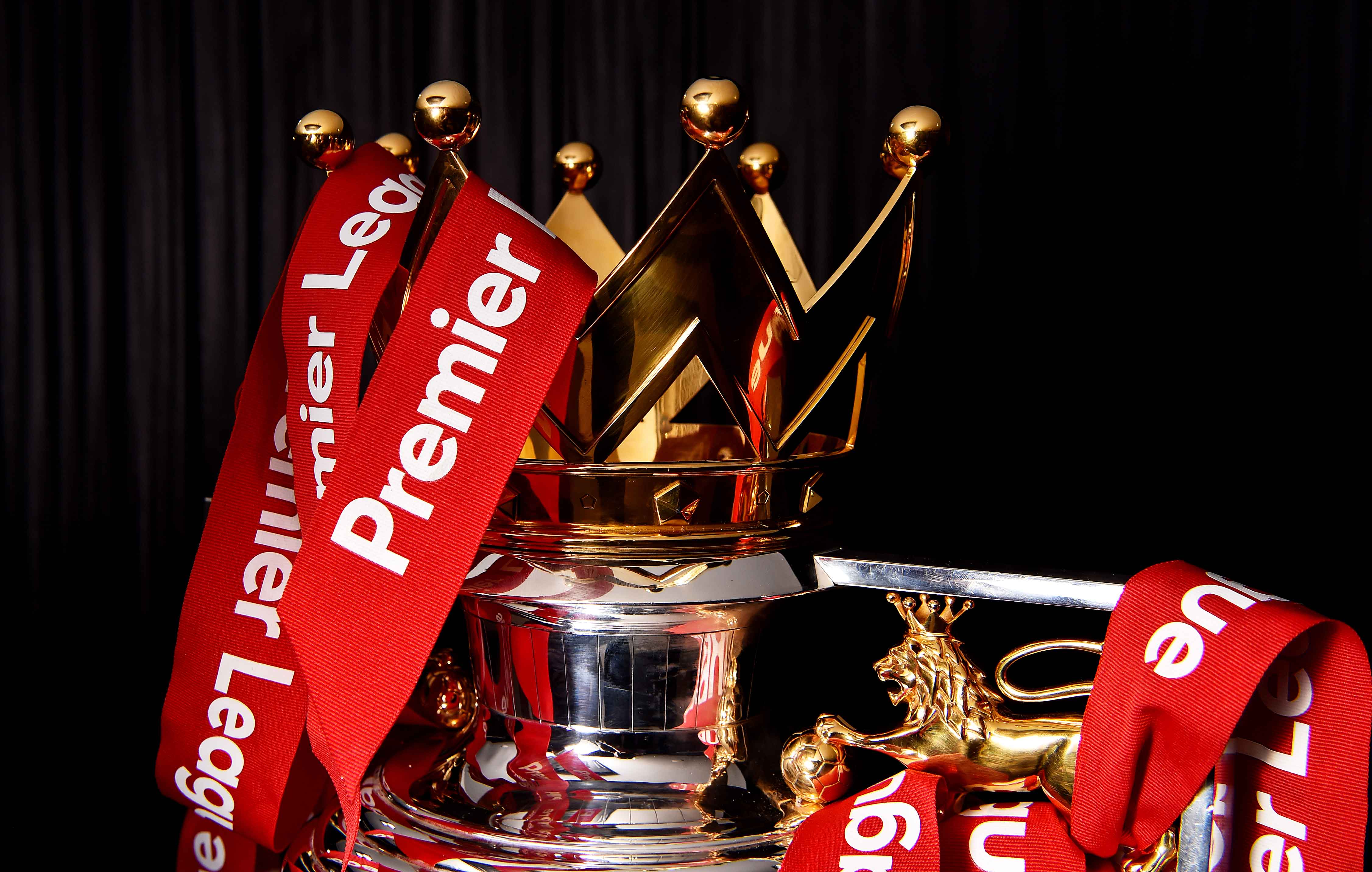 在关注特雷 在关注特雷